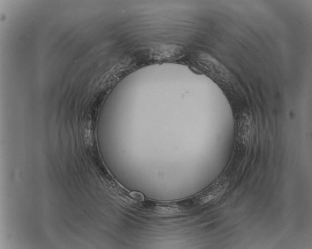 X0000073900510200609011722