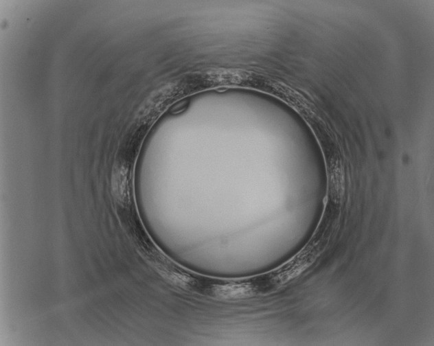 X0000073900511200609011722