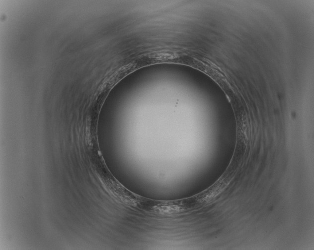 X0000073900512200609011722