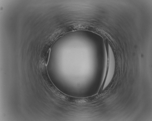 X0000073900513200609011722