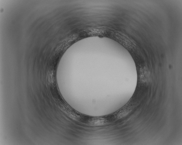 X0000073900514200609011722