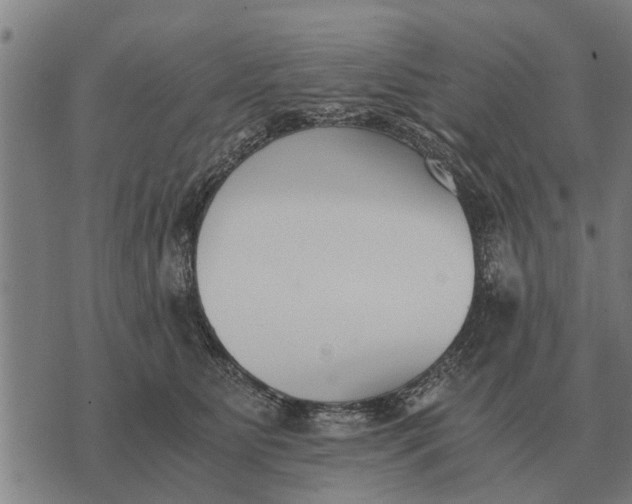 X0000073900515200609011722