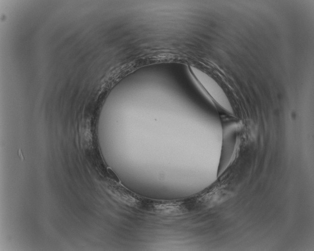 X0000073900516200609011722