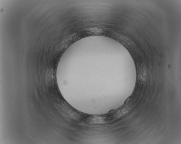 X0000073900518200609011721