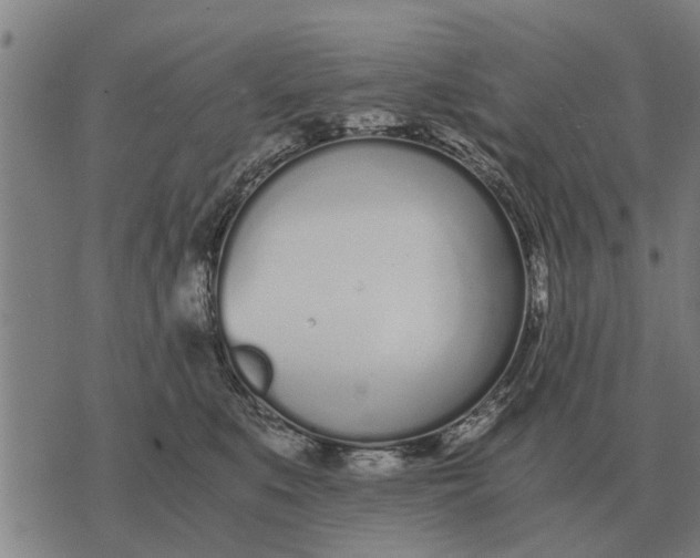 X0000073900519200609011721