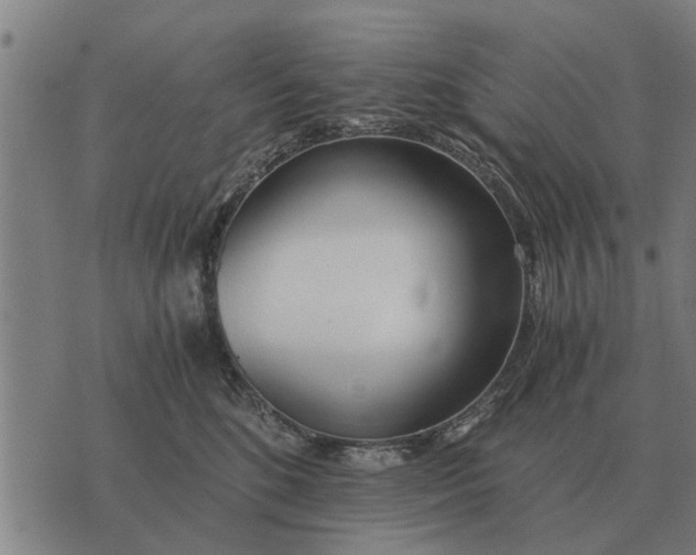 X0000073900520200609011721