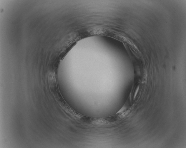 X0000073900521200609011721