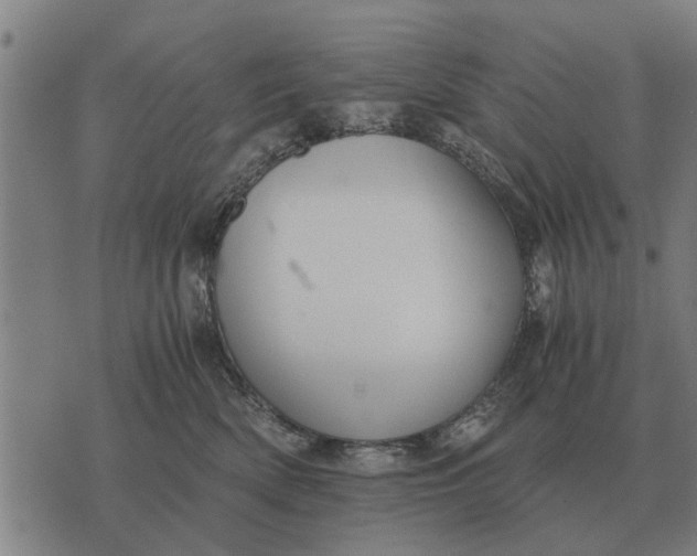 X0000073900522200609011721