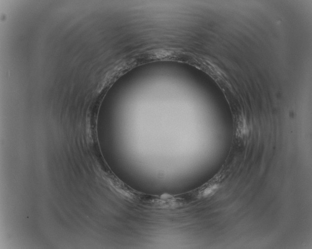 X0000073900524200609011721