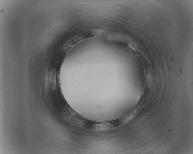 X0000073900525200609011721