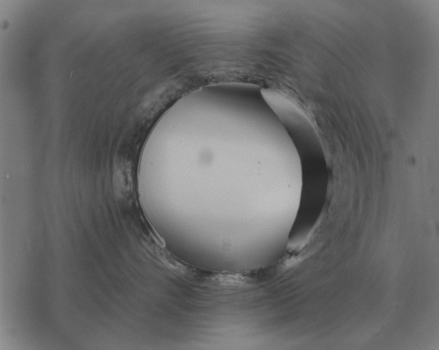 X0000073900528200609011721