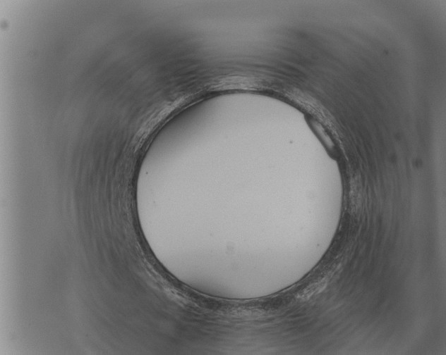 X0000073900529200609011721