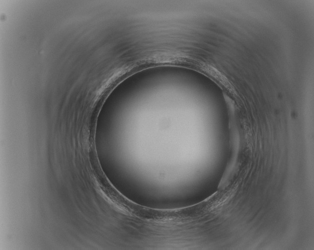 X0000073900530200609011721