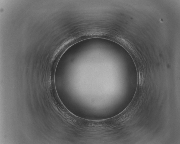 X0000073900531200609011721