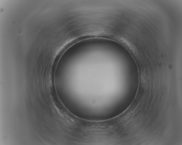 X0000073900532200609011721