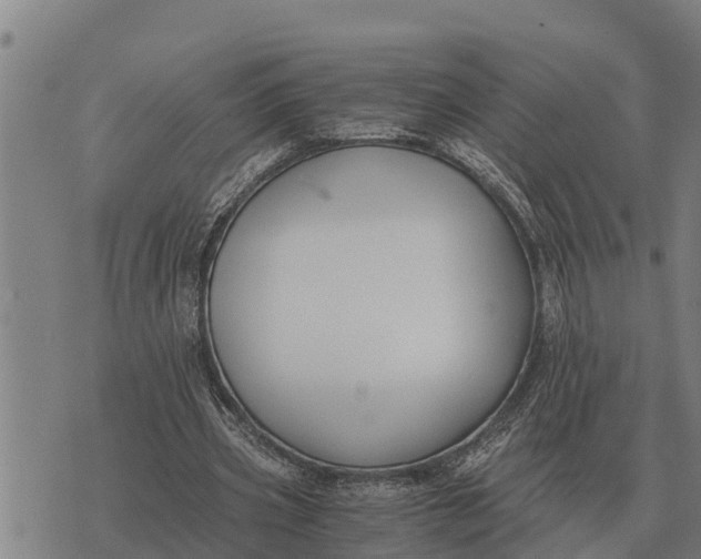 X0000073900533200609011721