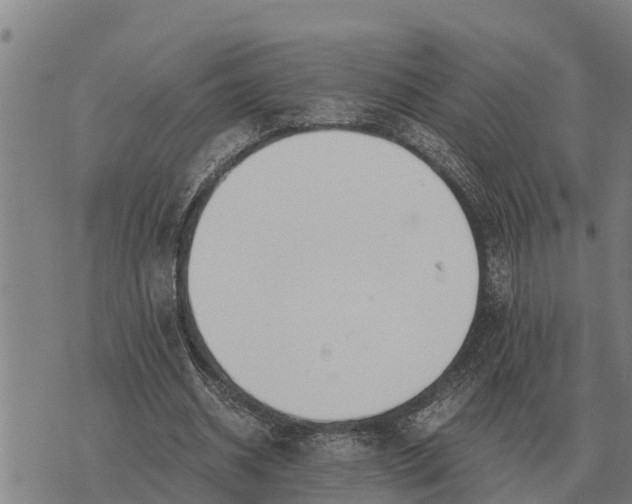 X0000073900534200609011721