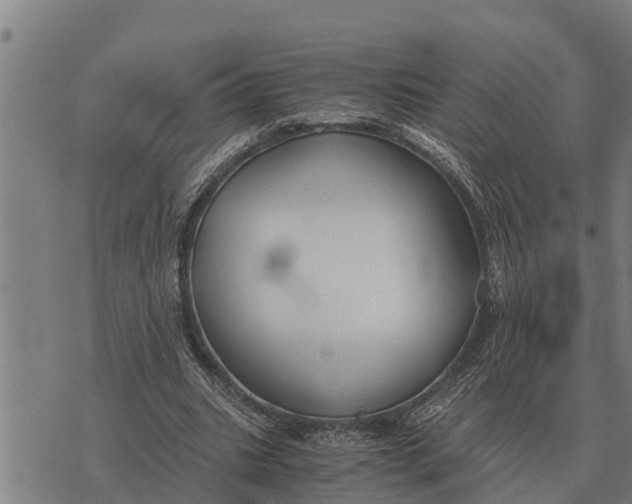 X0000073900535200609011721