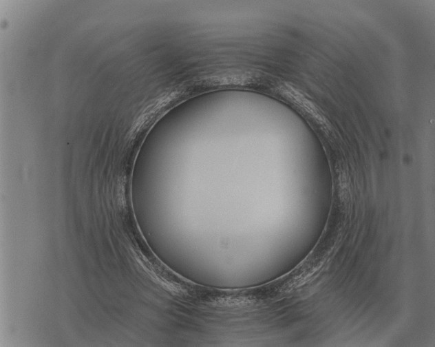 X0000073900537200609011721