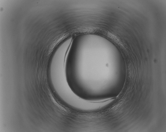 X0000073900538200609011721