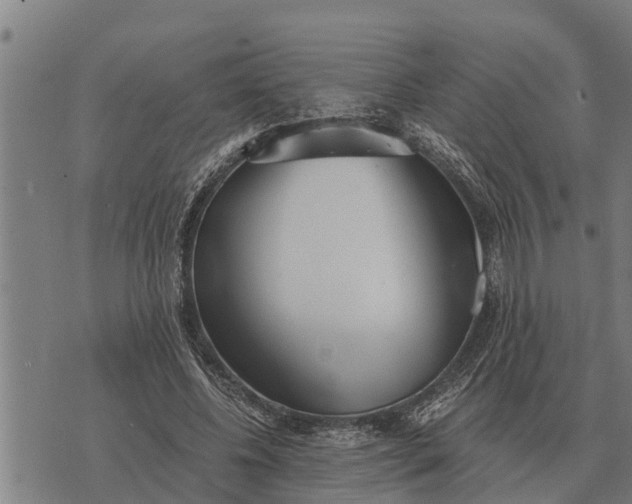 X0000073900540200609011721