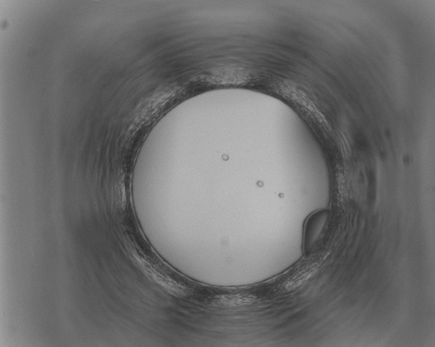 X0000073900541200609011721