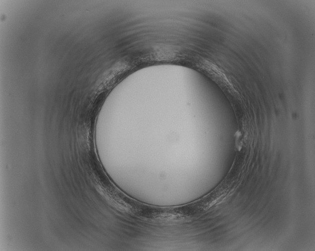 X0000073900542200609011721