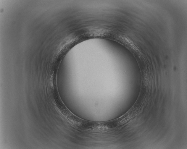 X0000073900543200609011721