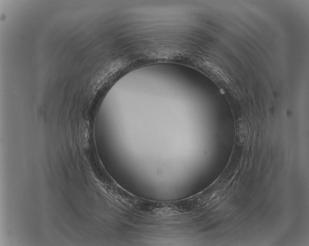 X0000073900544200609011721