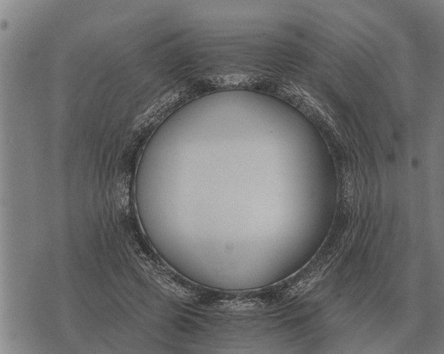 X0000073900545200609011721