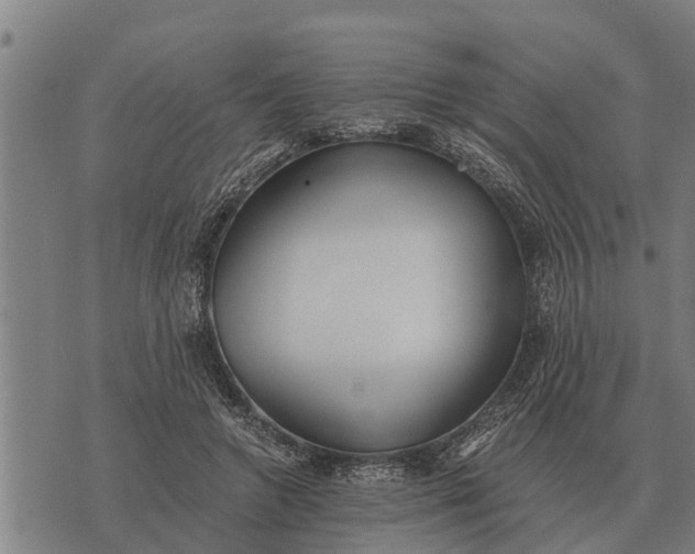 X0000073900546200609011721