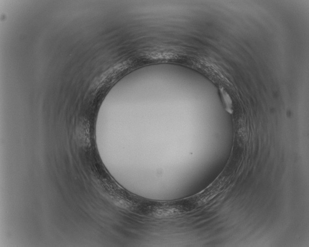 X0000073900547200609011721