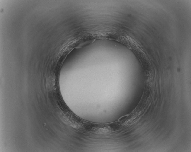 X0000073900548200609011721