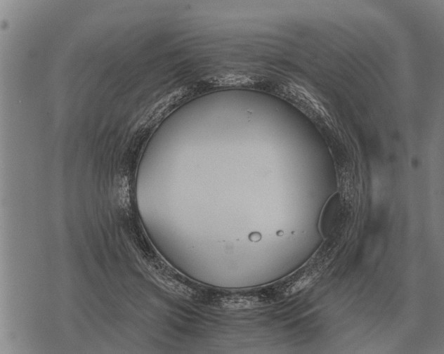 X0000073900549200609011721