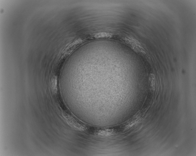 X0000073900550200609011721