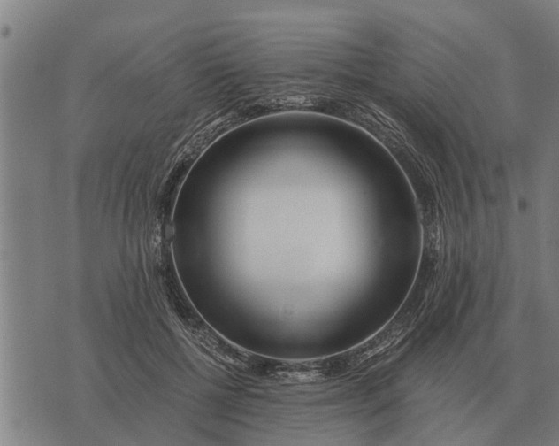 X0000073900552200609011721