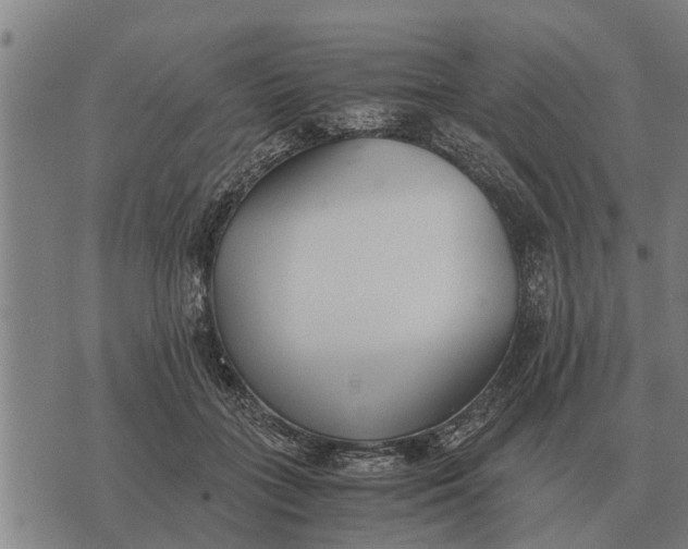 X0000073900555200609011721