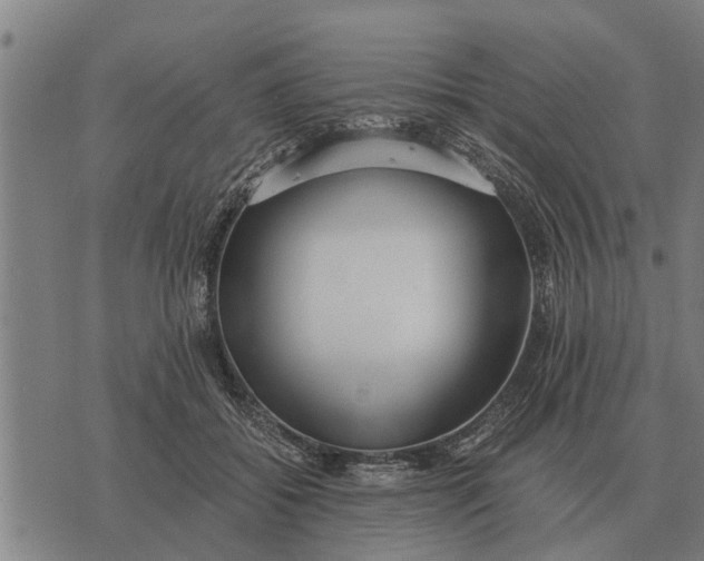 X0000073900556200609011721