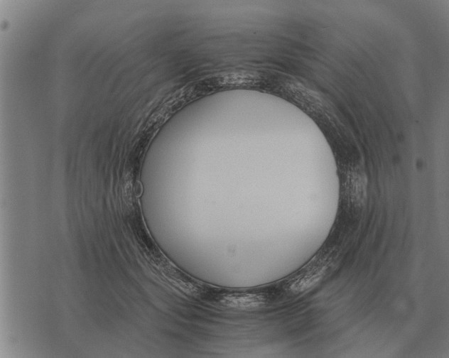 X0000073900557200609011721