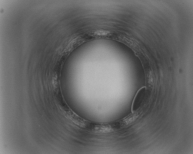 X0000073900559200609011721