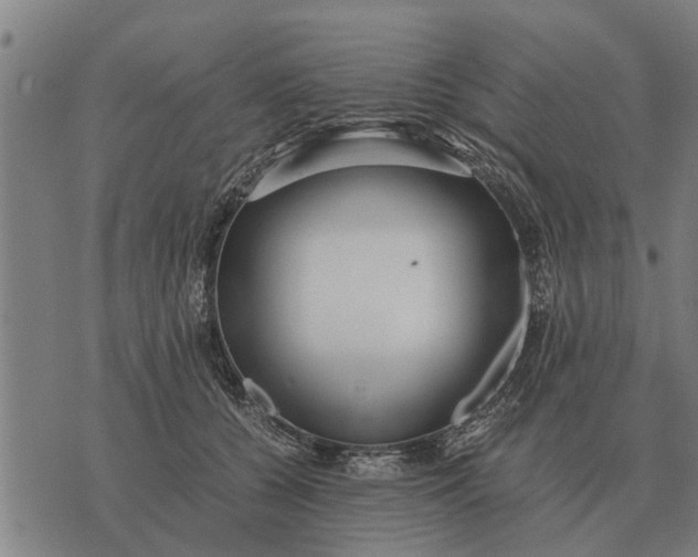 X0000073900560200609011721