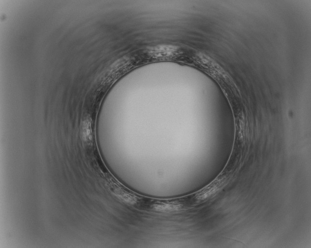 X0000073900561200609011721