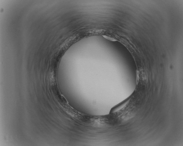 X0000073900564200609011721