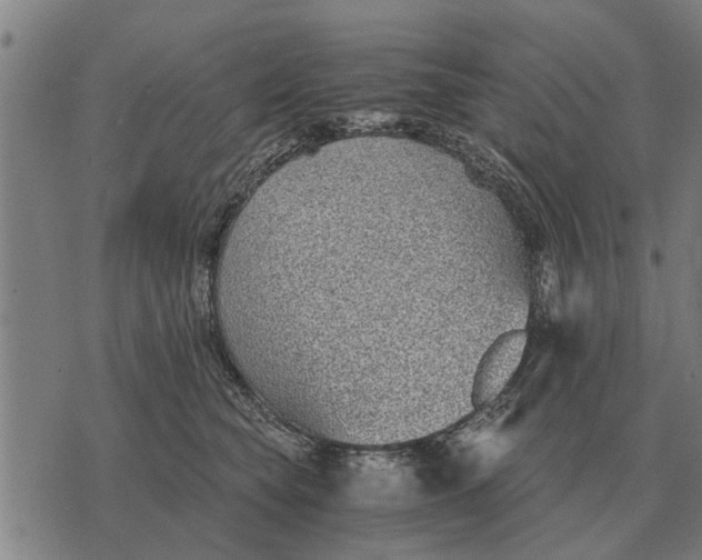 X0000073900565200609011721