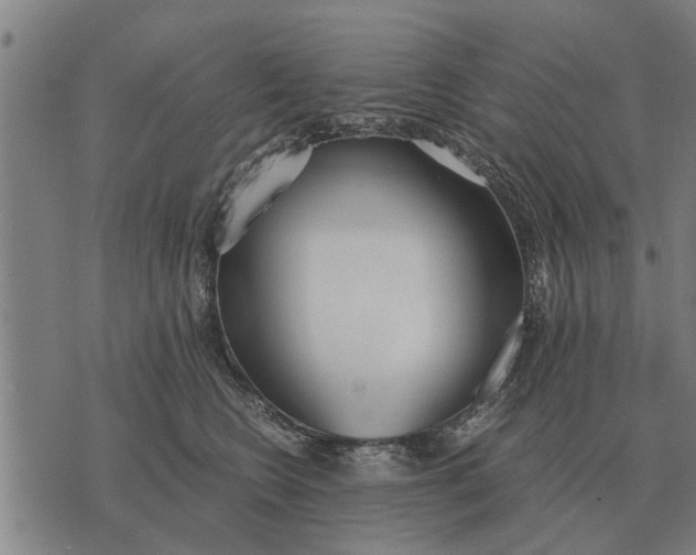 X0000073900566200609011721