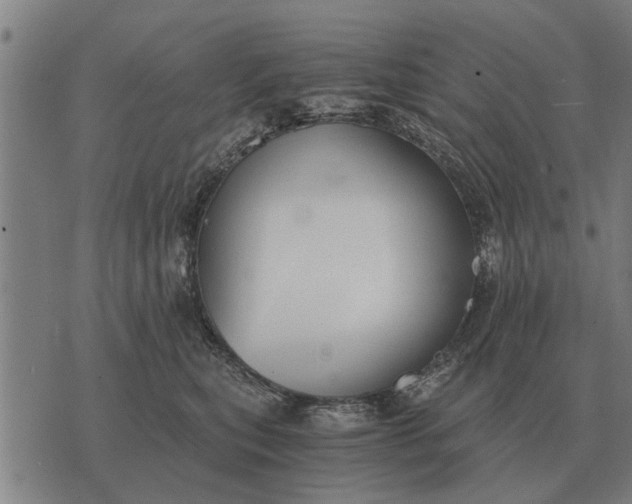 X0000073900567200609011721