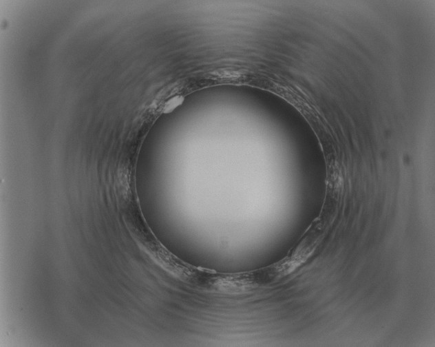 X0000073900568200609011721