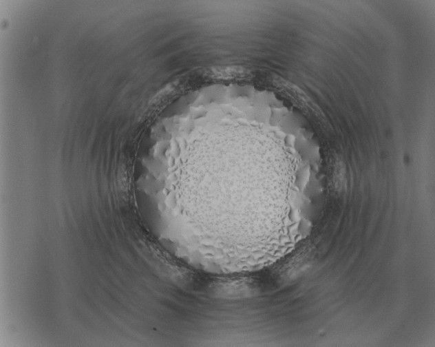 X0000073900569200609011721