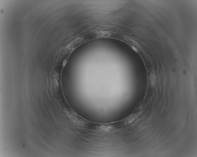 X0000073900570200609011721