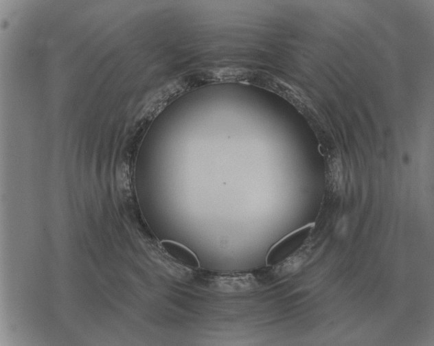 X0000073900571200609011721